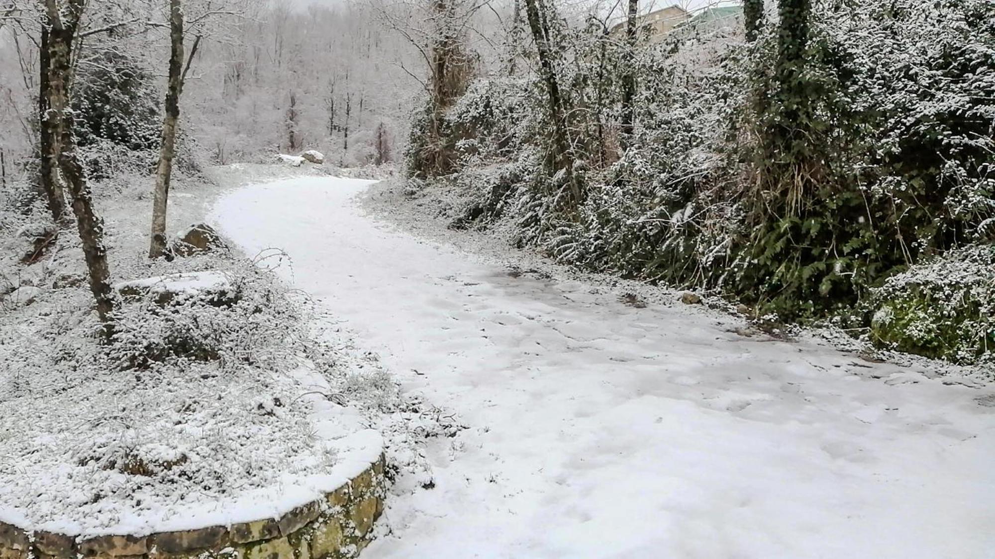 فيلا Castello Baronale Novi Velia المظهر الخارجي الصورة